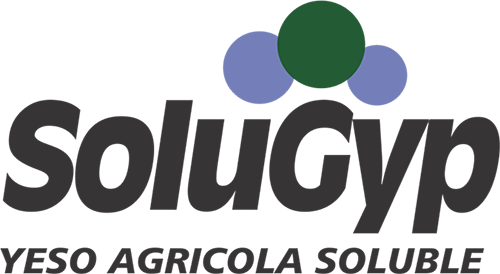 SOLUGYP